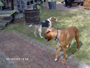 hpim0333.jpg