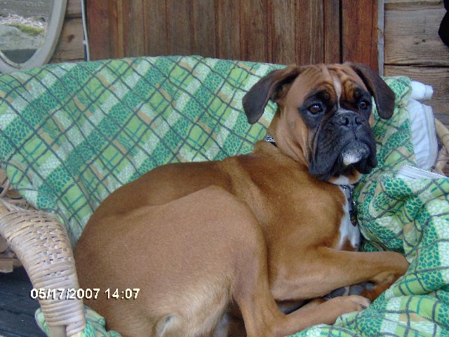 hpim0317.jpg